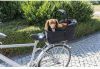 Trixie Fietsmand Long Voor Brede Bagagedragers Hondenfietsaccessoires 29x49x60 cm Zwart online kopen